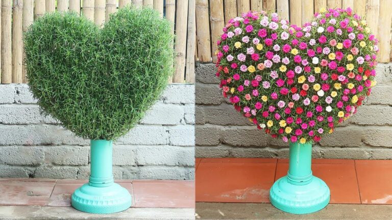 Questo semplice gesto trasforma bottiglie di plastica in un giardino a forma di cuore…