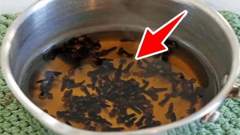 Un vecchio trucco per migliorare la tua salute con l’acqua di chiodi di garofano…