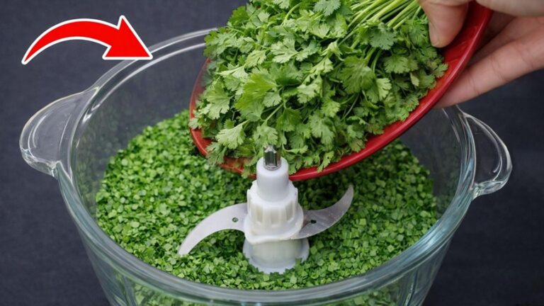 Questo semplice gesto per conservare il coriandolo lo manterrà fresco per mesi…