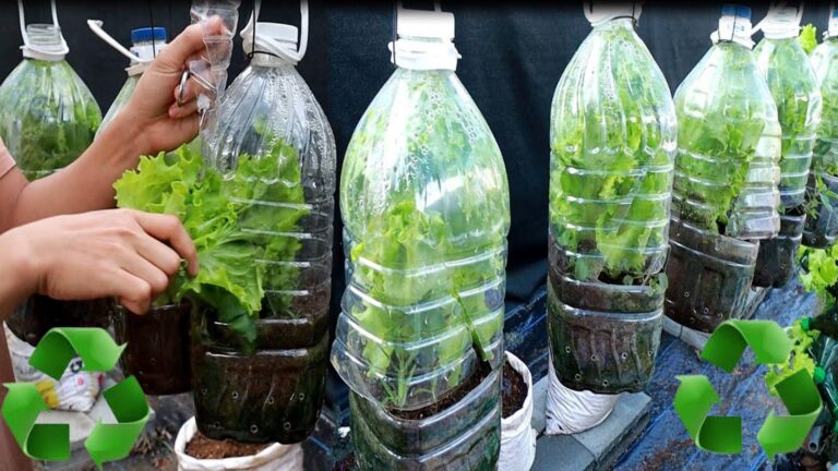 Questo semplice gesto ti permetterà di coltivare verdure in casa…
