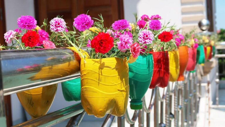 Questo semplice gesto trasforma bottiglie di plastica in un giardino sospeso da sogno…