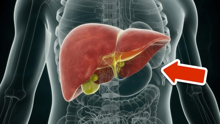 6 segnali che indicano una leber tossica: scopri come agire subito!