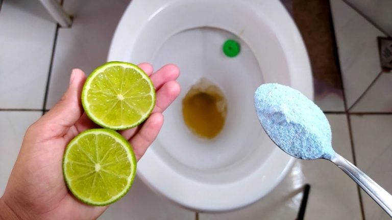 Con qualche goccia le tue toilette rimarranno impeccabili per settimane