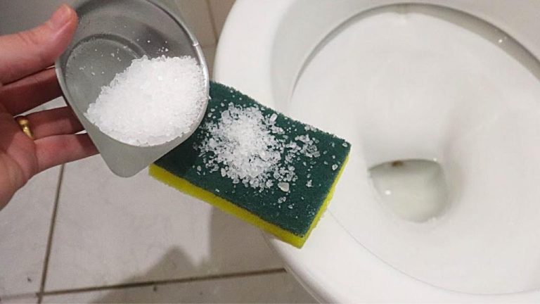 Scopri come far profumare la tua bagno con un metodo naturale e gratis