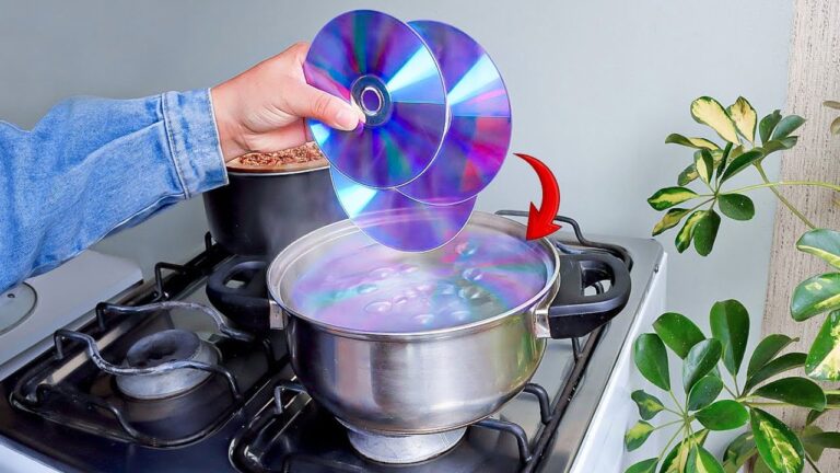 Scopri 7 invenzioni geniali di un CD che ha cambiato tutto!