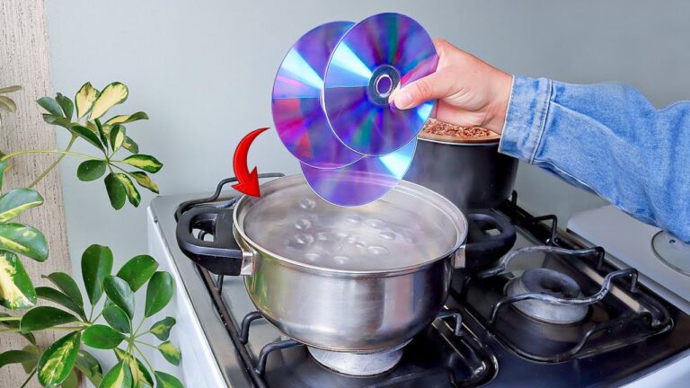 Trasforma 10 CD vecchi in idee creative per guadagnare! Scopri come farlo!
