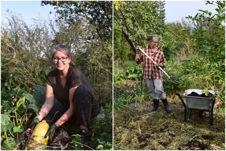 9 lavori autunnali nel tuo giardino senza vangare: piantare, raccogliere, pacciamare e altro